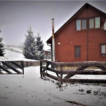 Cottage Ozerniy Laseschtschyna Exterior foto